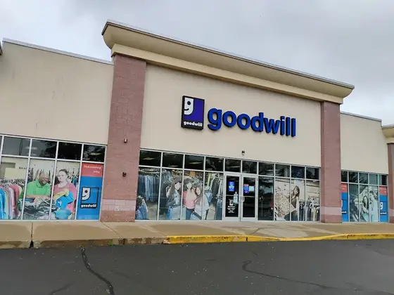 Goodwill