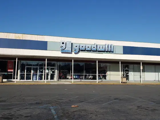 Goodwill