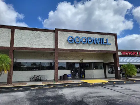 Goodwill