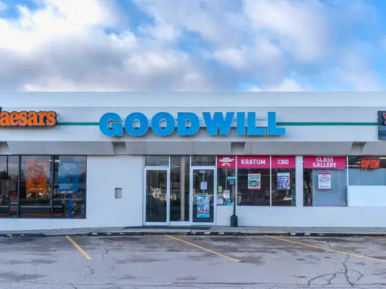 Goodwill