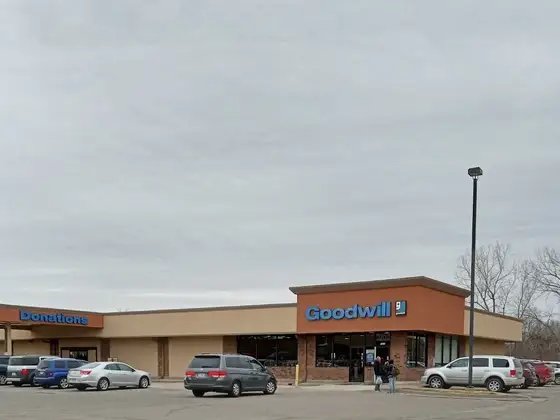 Goodwill