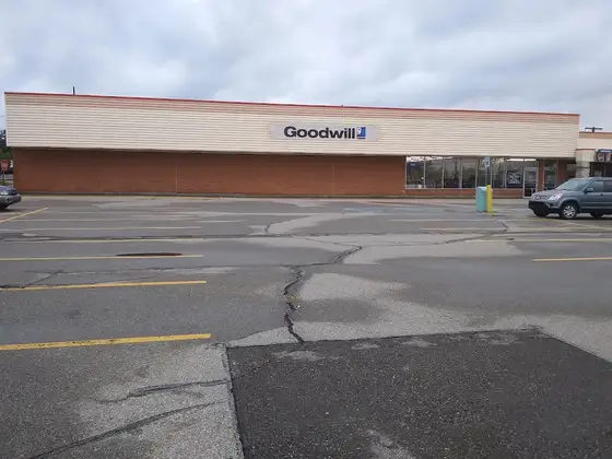Goodwill