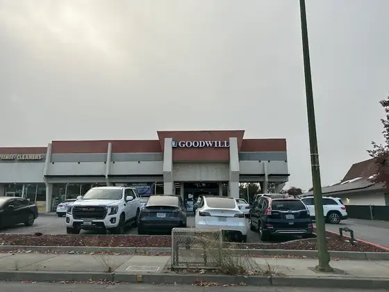 Goodwill