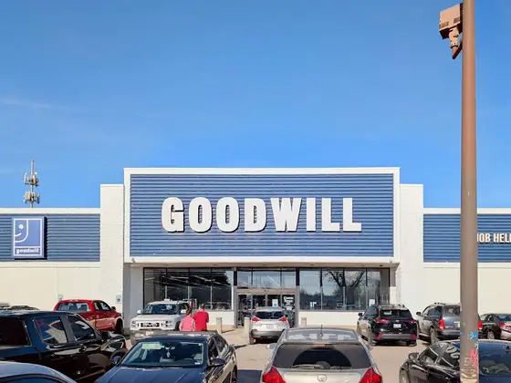 Goodwill