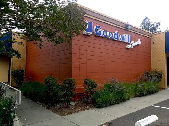 Goodwill