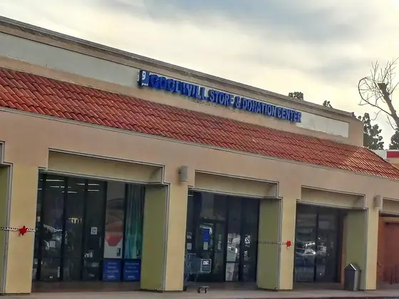 Goodwill