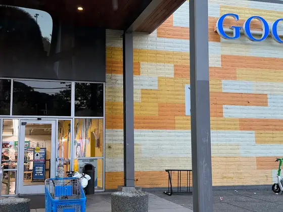 Goodwill
