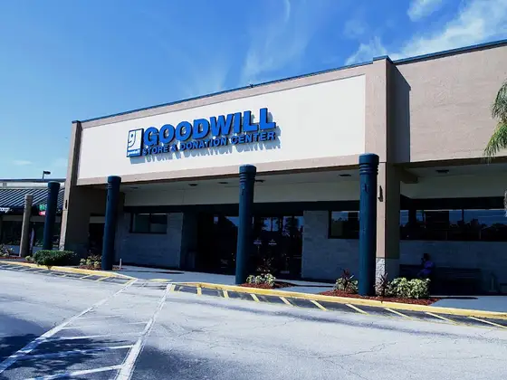 Goodwill