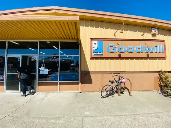 Goodwill
