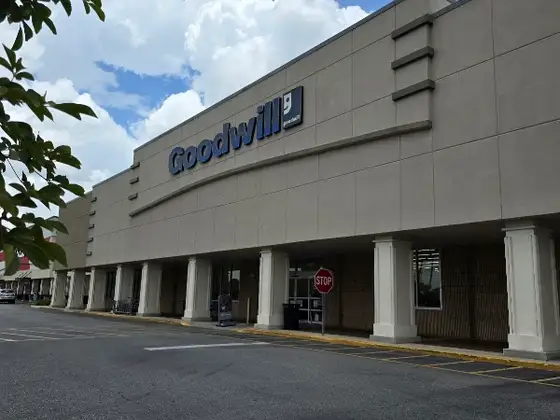 Goodwill