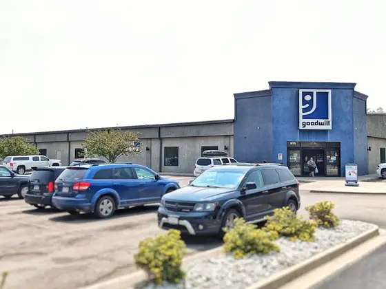 Goodwill