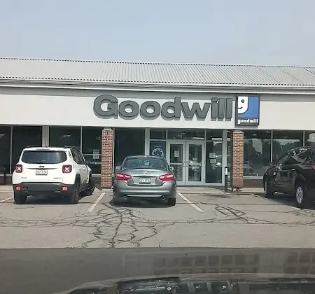 Goodwill