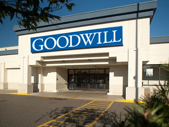 Goodwill