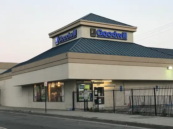 Goodwill