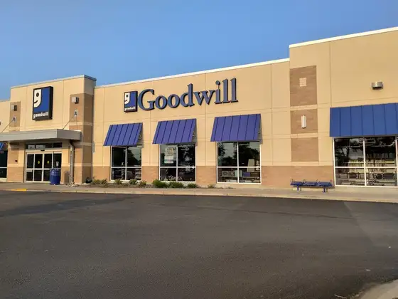 Goodwill