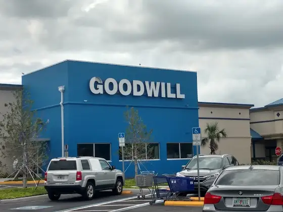 Goodwill