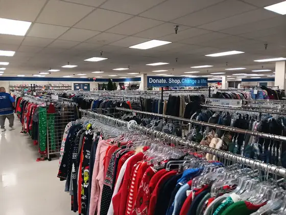 Goodwill