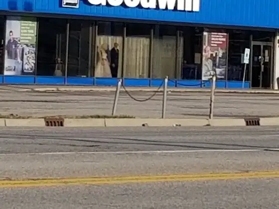 Goodwill