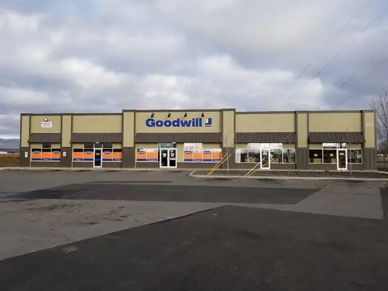 Goodwill