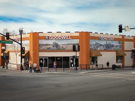 Goodwill