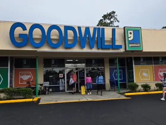 Goodwill
