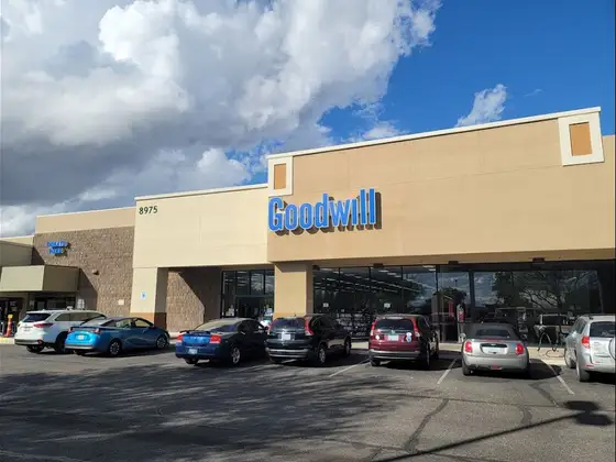Goodwill