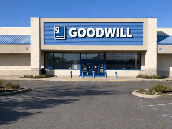 Goodwill