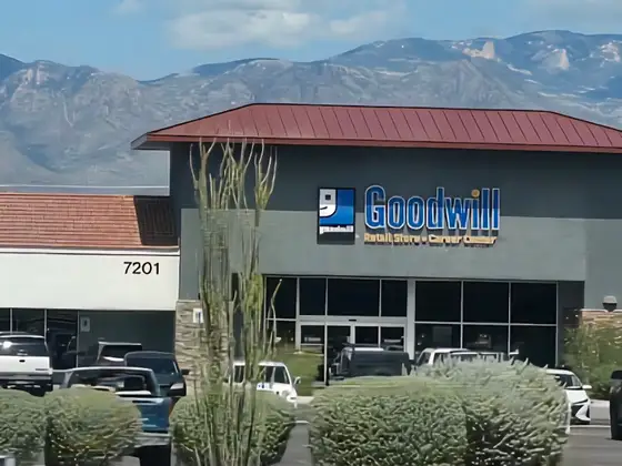 Goodwill