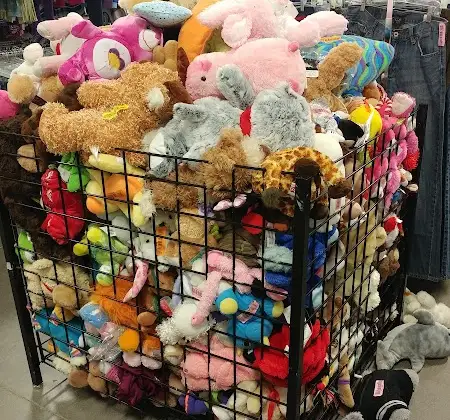 Goodwill