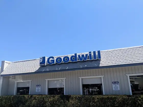 Goodwill