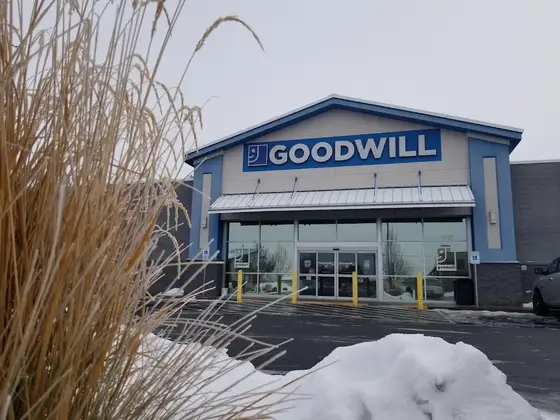 Goodwill