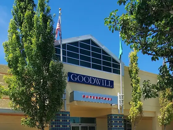 Goodwill