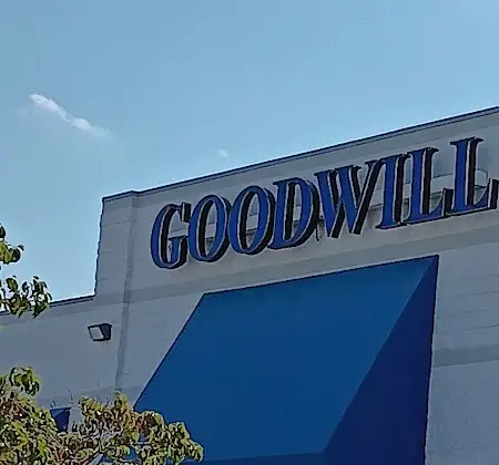 Goodwill