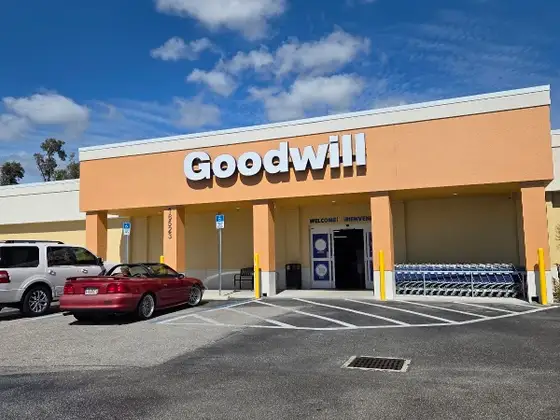 Goodwill
