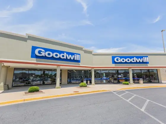 Goodwill