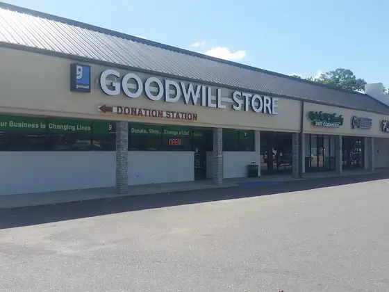 Goodwill