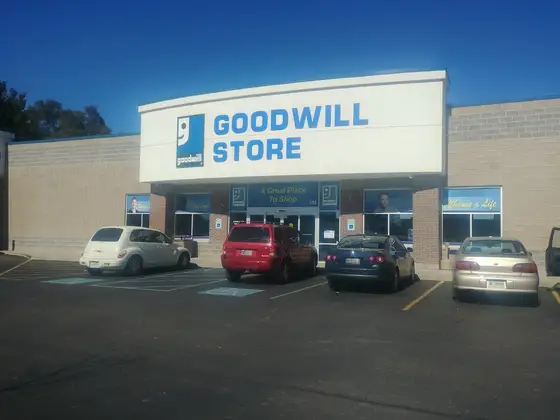 Goodwill