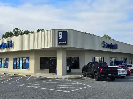 Goodwill