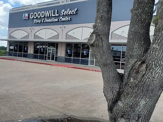 Goodwill