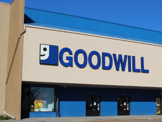 Goodwill