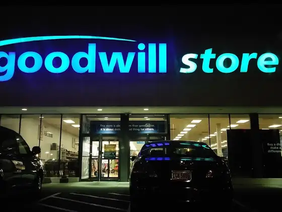 Goodwill