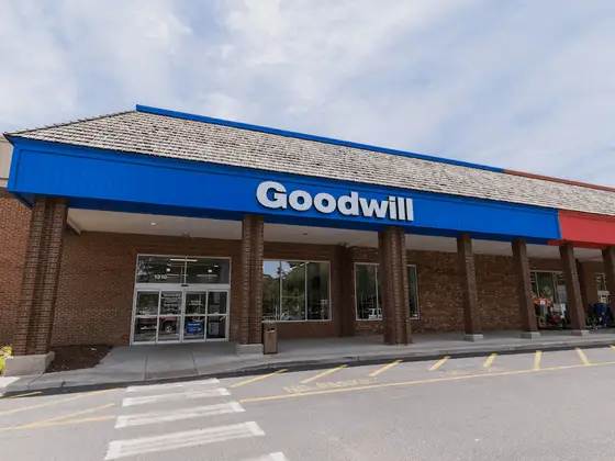 Goodwill