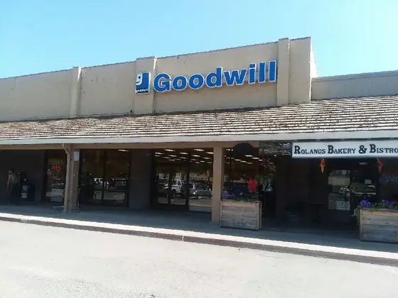 Goodwill