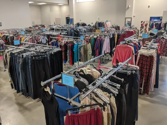 Goodwill