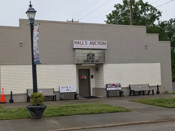 Hall's Auction
