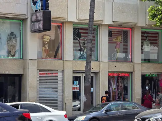 Iguana Vintage Clothing