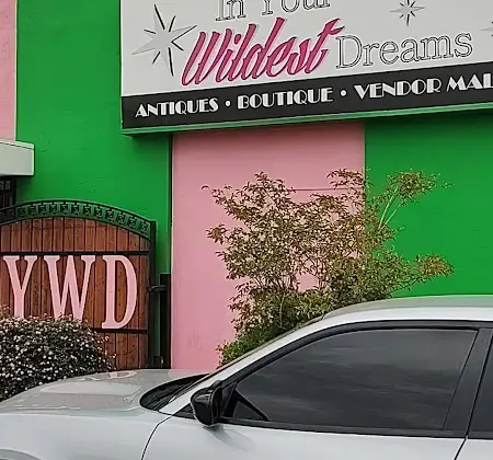 In Your Wildest Dreams Consignments