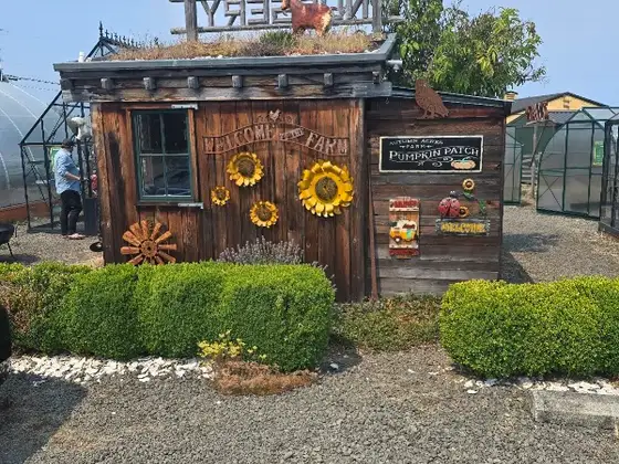 Jungle Jane's Antiques