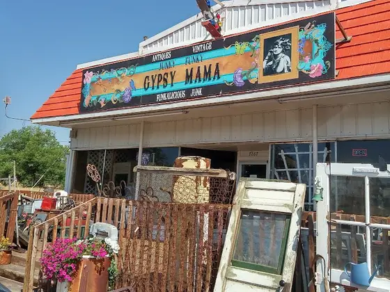 Junky Funky Gypsy Mama