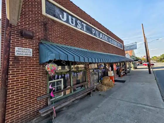 Just Plain Country Store